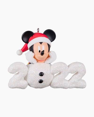 Hallmark Christmas Ornament Disney Moana for sale online 
