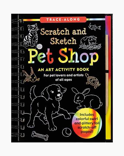 Scratch and Sketch Bugs (Trace Along) [Book]