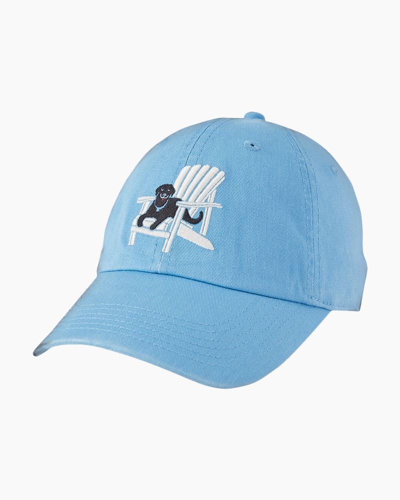 Life Is Good Dog Days Arch Chill Cap