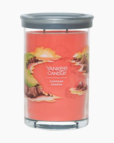 Yankee Candle Coconut Beach, Plastic, Car Jar Ultimate Air Freshener :  : Home & Kitchen