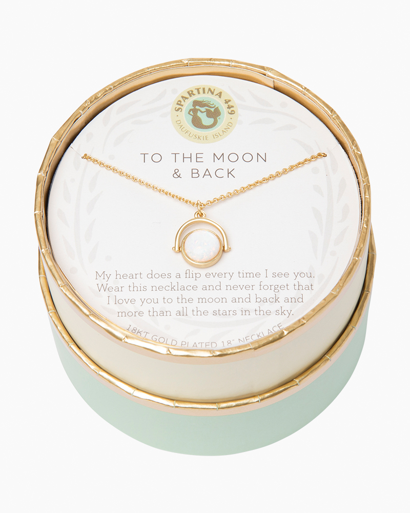 Believe by Brilliance Women's Sterling Silver ”I Love You to the Moon & Back”  Pendant Neckla… | Sterling silver charm necklace, Back necklace, Charm  necklace silver