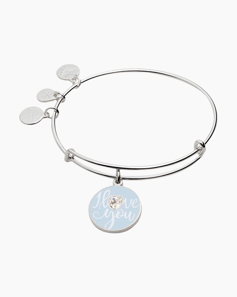 Amazon.com: Alex and Ani Occasions Expandable Bangle for Women, Happy  Retirement Charm, Shiny Silver Finish, 2 to 3.5 in: Clothing, Shoes &  Jewelry
