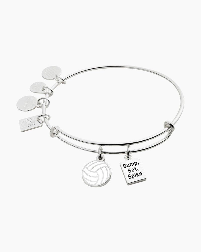 Alex And Ani Volleyball Charm Bracelet Online, 55% OFF | lanyards.mx