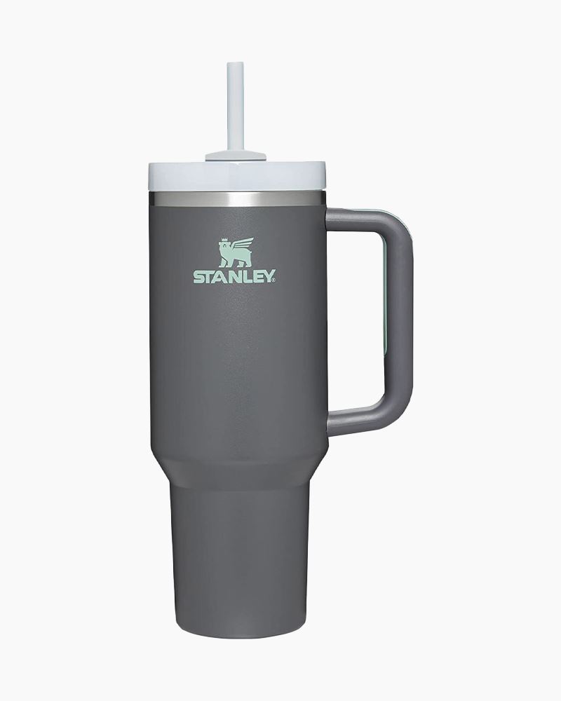 Stanley Cup 40 oz Tumbler with Handle NEW FOG Color Review 