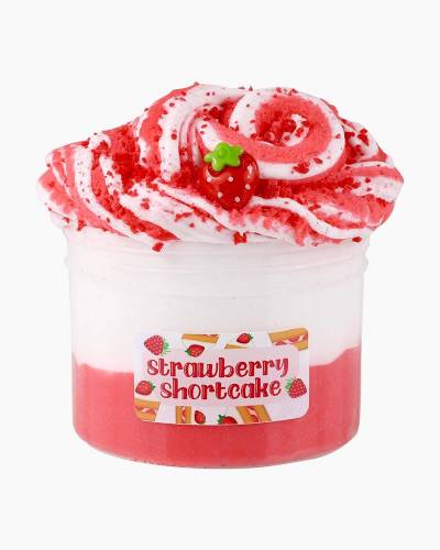 Cotton Candy Scented Ice Cream Pint Slime  Kawaii Slime Company – The  Curious Bear Toy & Book Shop